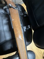 IMG_1319.jpeg