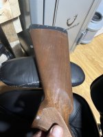 IMG_1320.jpeg