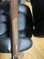 IMG_1321.jpeg
