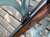 IMG_7830.jpeg