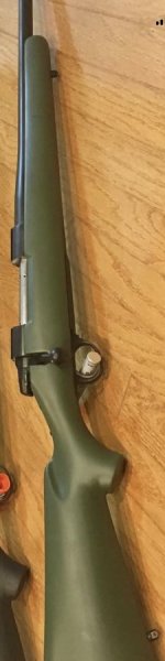 IMG_2925.jpeg