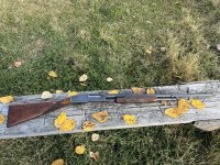 winchester 42 right.jpg