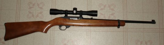Ruger1022OriginalStock01.JPG Ruger1022OriginalStock01.JPG