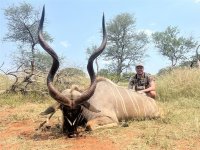 kudu.jpg