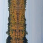 20171022_095329.jpg
