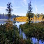 20171022_084026-EFFECTS.jpg