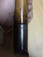 20260603_195003.jpg