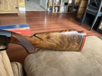 IMG_4131.jpeg