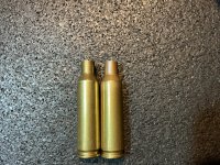 IMG_4400.jpeg