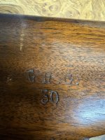 IMG_4375.jpeg