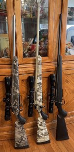 TikkaT3xRifles.jpg