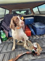 Hunter 2023 pheasant nd Hun.jpg