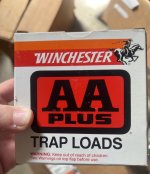 IMG_0229.jpeg