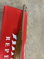 IMG_5413.jpeg IMG_5413.jpeg