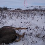 IMG_20171104_132951375.jpg IMG_20171104_132951375.jpg