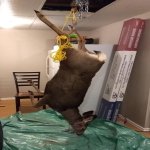 IMG_20171105_125048059.jpg IMG_20171105_125048059.jpg