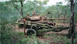 CC South African Oliphant.jpg