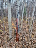 Sks innawoods.jpg