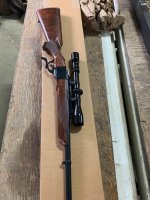 IMG_7212.jpeg