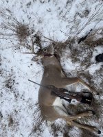 IMG_8575.jpeg