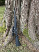 IMG_7983.jpeg