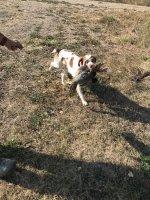 IMG_1790.jpeg IMG_1790.jpeg