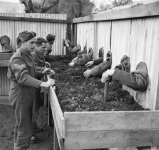 Screenshot 2026-07-08 at 12-52-16 odd-photos-wwII-32.webp (WEBP Image 1000 × 947 pixels) — Sca...png