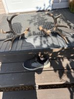 IMG_0549.jpeg