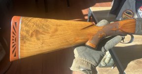 IMG_4749.jpeg IMG_4749.jpeg