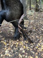 IMG_5013.jpeg