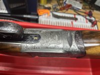IMG_2301.jpeg IMG_2301.jpeg