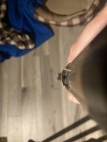 IMG_7321.jpg