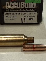 IMG_9664.jpeg