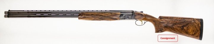 C3917 Perazzi 2.jpg