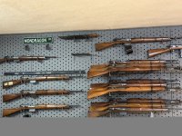 IMG_1107.jpeg