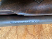 IMG_5084.jpeg