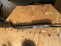 IMG_5085.jpeg