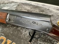 IMG_1911.jpeg