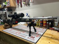 IMG_1276.jpeg