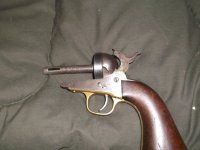 colt (7).JPG