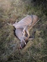 IMG_3241.jpeg