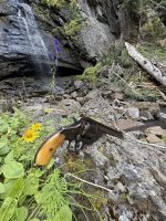 IMG_6187.jpeg