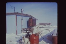PICT0287 caribou.JPG