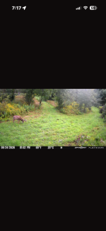 IMG_8687.png