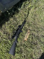IMG_0383.jpeg
