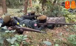 cc thai territorials.jpeg