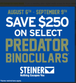 Steiner.png