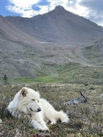 IMG_0660.jpeg