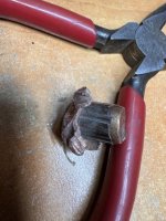IMG_0333.jpeg IMG_0333.jpeg