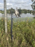 IMG_0388.jpeg